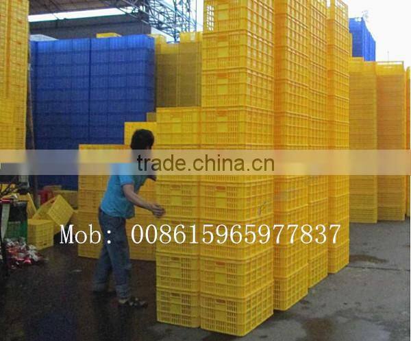 plastic poultry transport crate/chicken transport box lydia chang 0086.15965977837