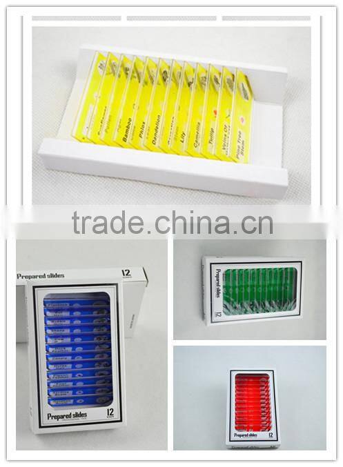 Nice quality 12pcs plastic slides for children histology slides set