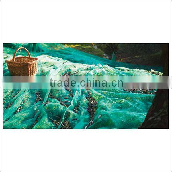 Green olive square net for olive harvest