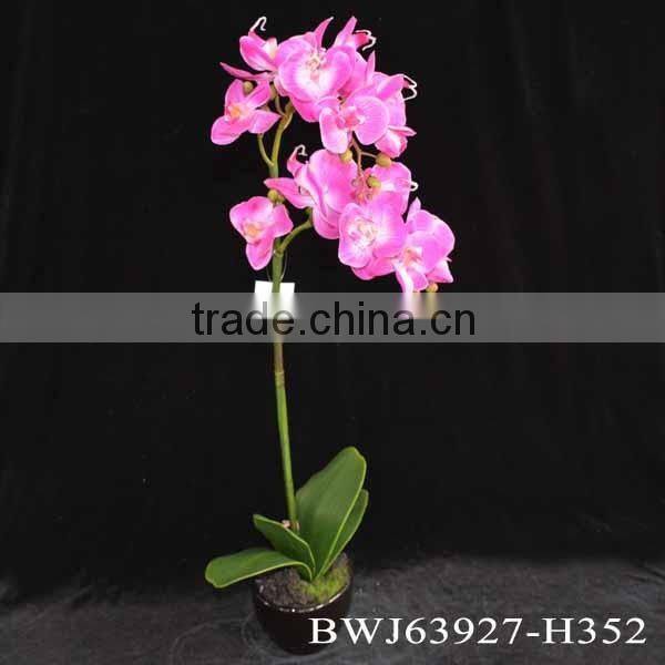 Latest Style High Quality orchid bonsai