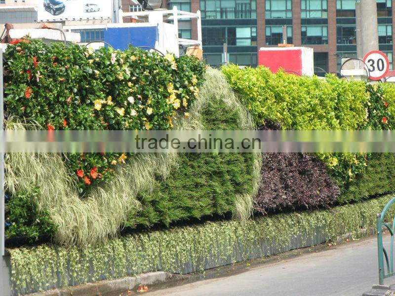 Widely use beautiful garden green wall