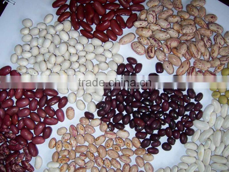 2014 Chinese white kidney bean with cheap price