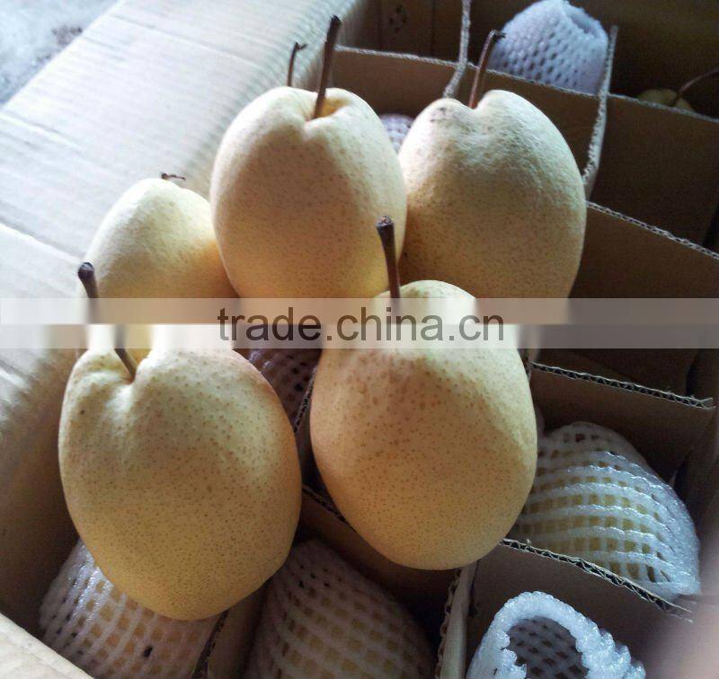 crisp and sweet su pear