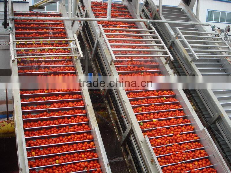 70 g sachet tomato paste in box and in carton