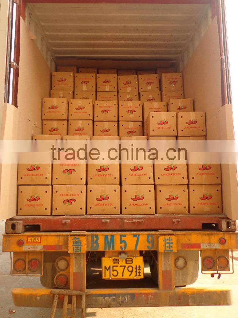 hot new products for 2015 chili pod,Chili King red chily sauce