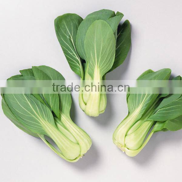 NPK10 Weiwen leaf vegetable seeds,pak choi seeds company,types of seeds