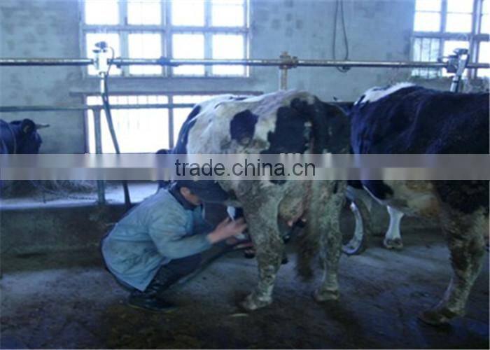 Dairy Cows Pipeline Milking Machine System