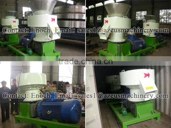 China Famous Wood Pellet Process Plant Manufacture