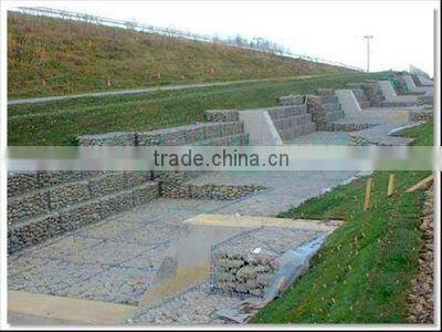 Hexagonal chicken wire mesh/ hexagonal wire netting/ Hexagonal wire mesh