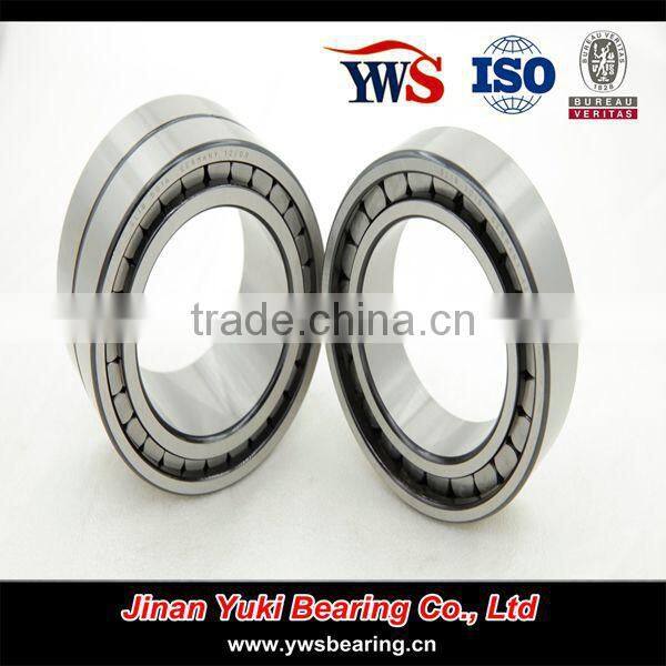 double row Full complement cylindrical roller bearing SL 185013
