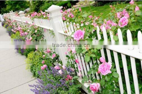 wooden fence for gardening