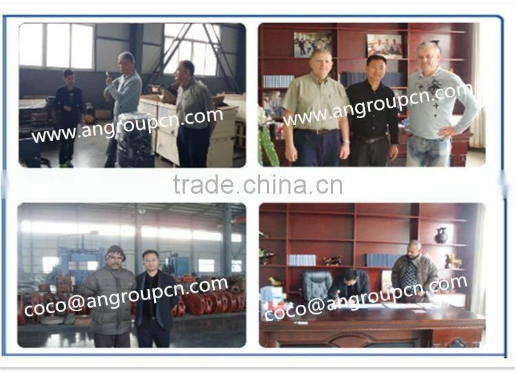 Vertical Submerged Slurry Pump Used for Mud or Slurry Sewage