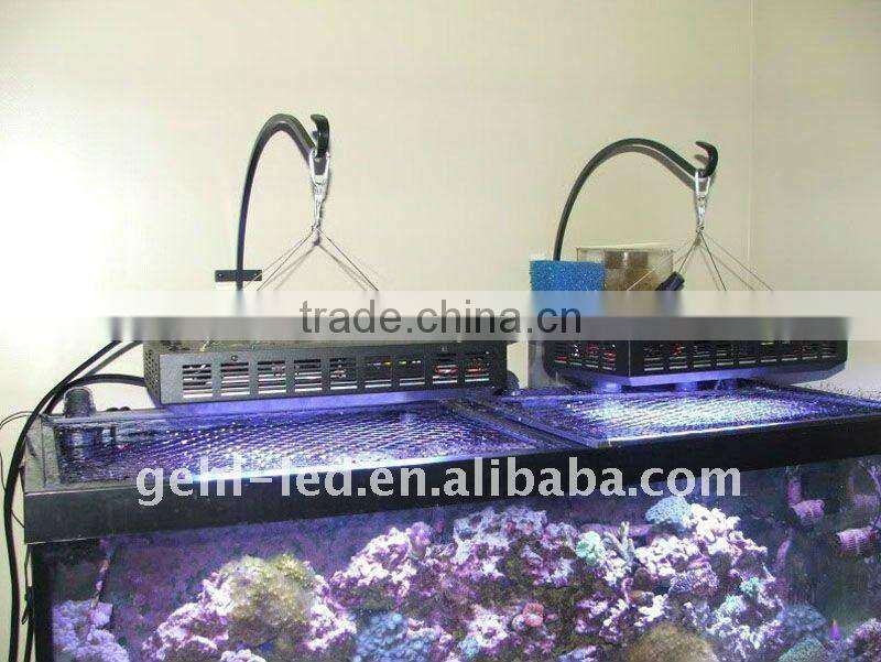 dimmable LED reef Light for freshwater