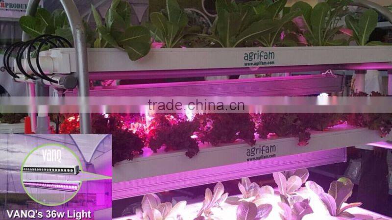 VANQLED LED plant grow rigid strip lights with plug transformer driver for leafy growth,Red blue grow lamp light
