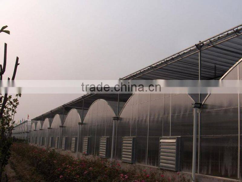 Multi Span Green Houses For Agriculture