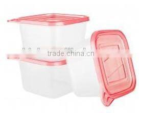 Large plastic cold storage box