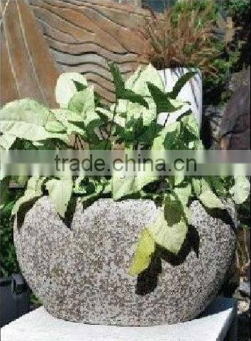 Vietnam Fiberglass Poly flower pots