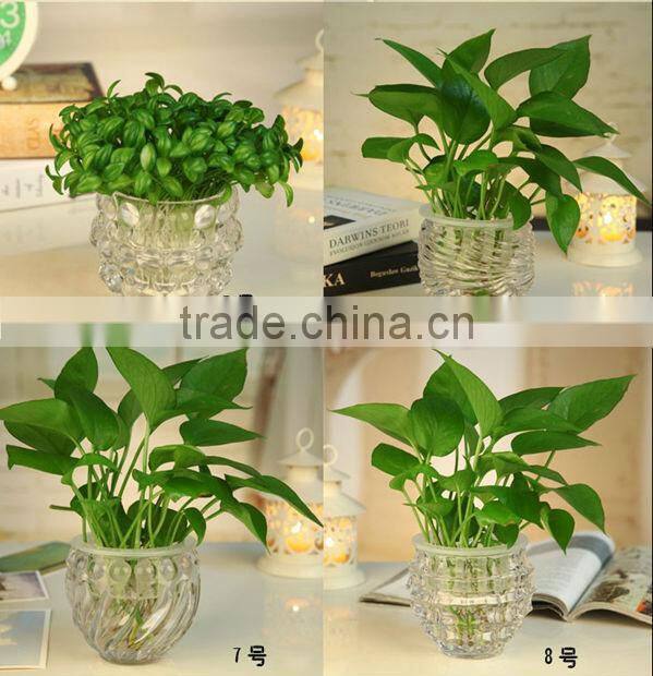 flower vase glass glass bottle flower vase clear tall glass flower vase