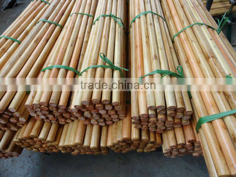 Varnished wooden mop stick