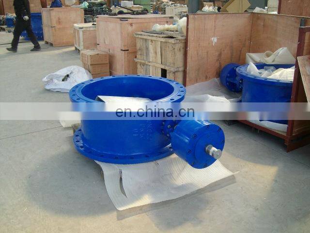 big size tilting check valve