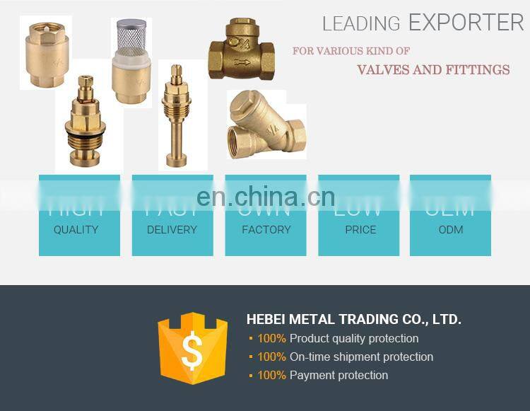 Dual Plate Duckbill Flap Vertical Dn100 Pn16 Natural Gas 8 Inch Flapper Type Swing Check Valve