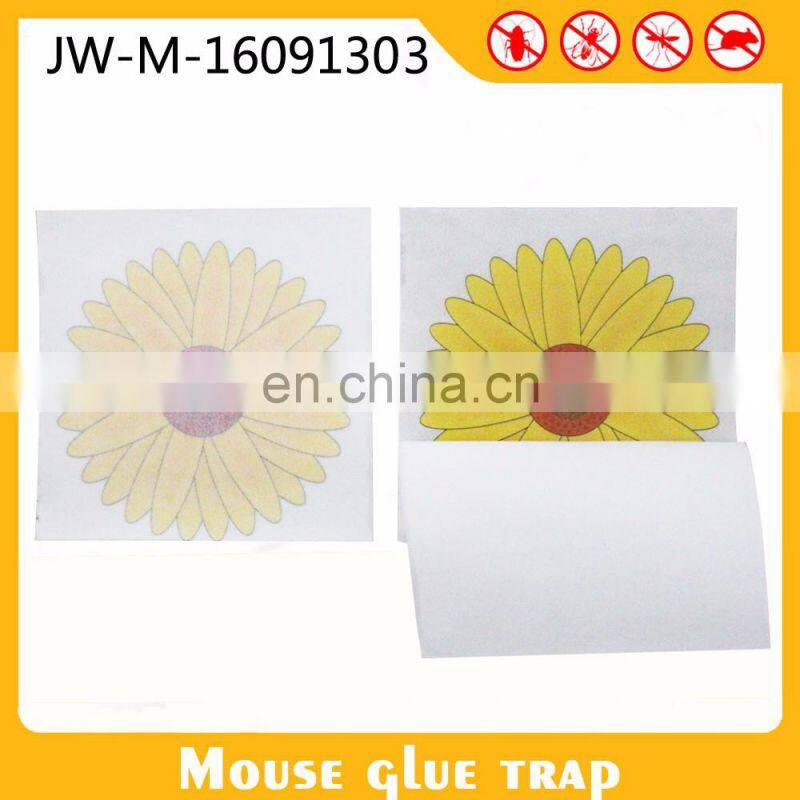 Pest Control Equipment Window Sticker Fruit Fly Glue Traps