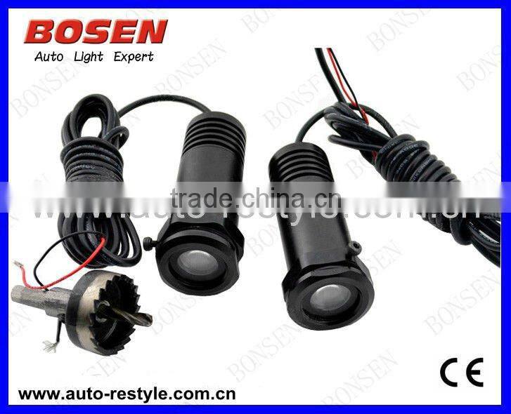 auto LED courtesy ghost door light