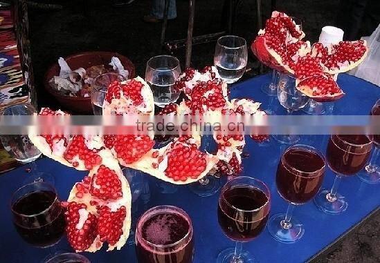 Commercial Orange Juicer Machines For Sale