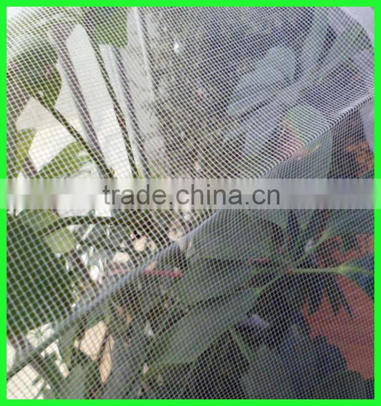 supply 100% UV resistance new PE anti insect protection net with best price