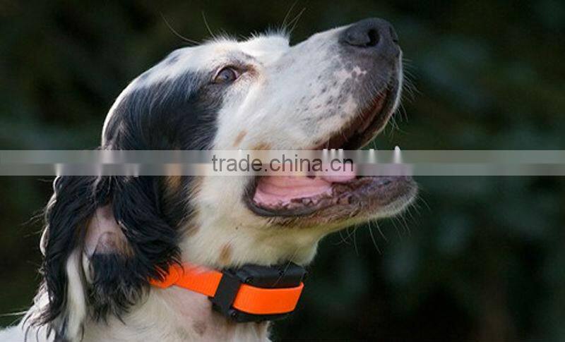 French TPU dog collar in blaze orange adjustable