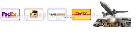 high efficiency automatic egg collection system