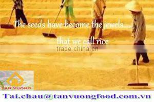 HACCP rice-Best price 504 Long Grain White Rice 15% Broken