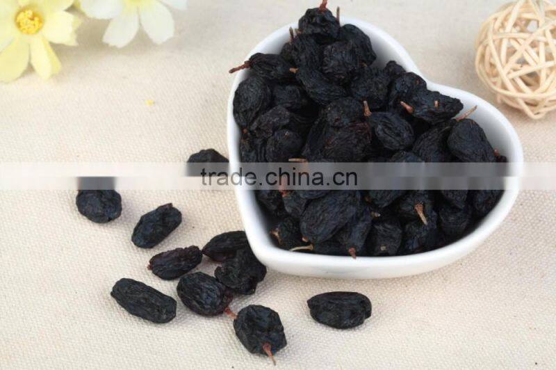 wholesale black raisins seedless raisin xinjiang raisin