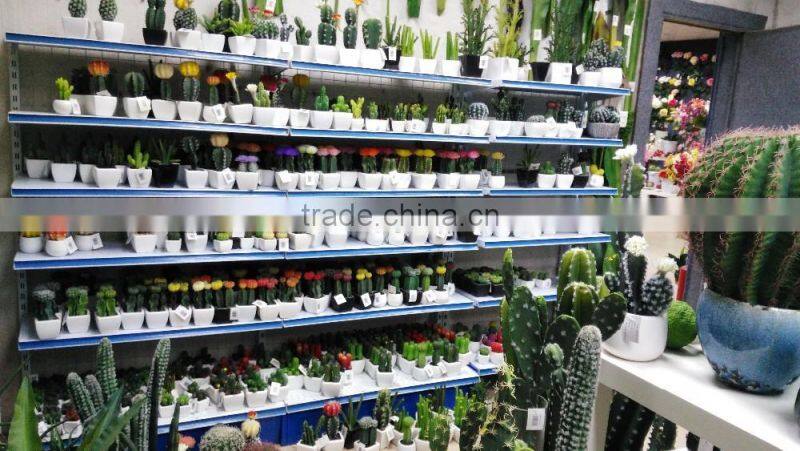 Artificial Echeveria Succulent Desk Top Plant in Pot