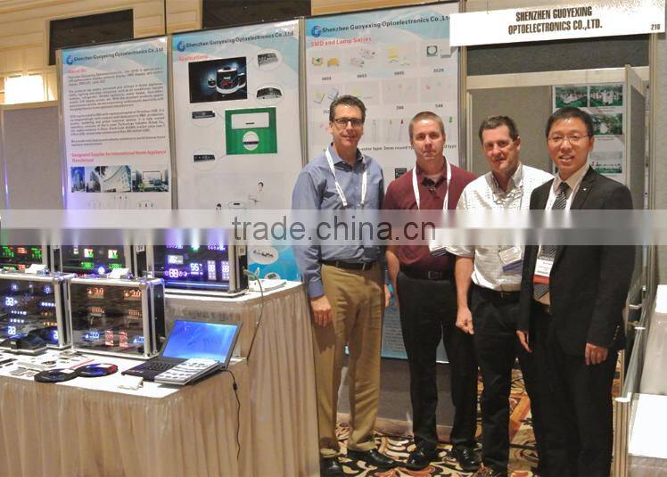 Customized Emitting blue green Color LED Lamp