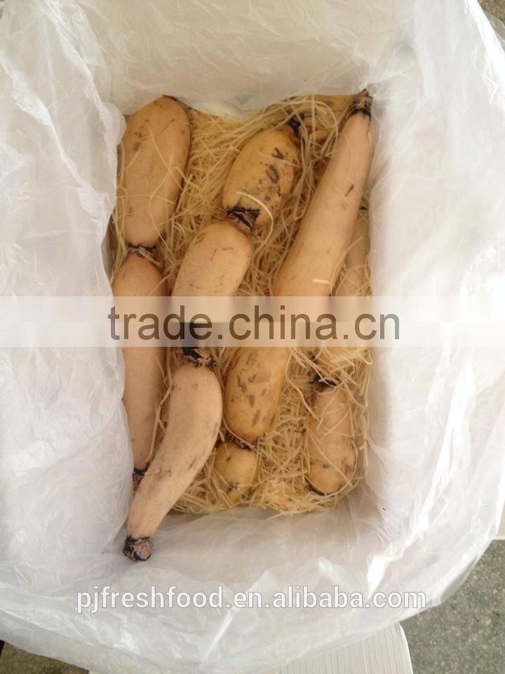 Bulk Package Lotus Root