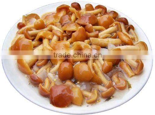 720ml marinated nameko mushroom in brine