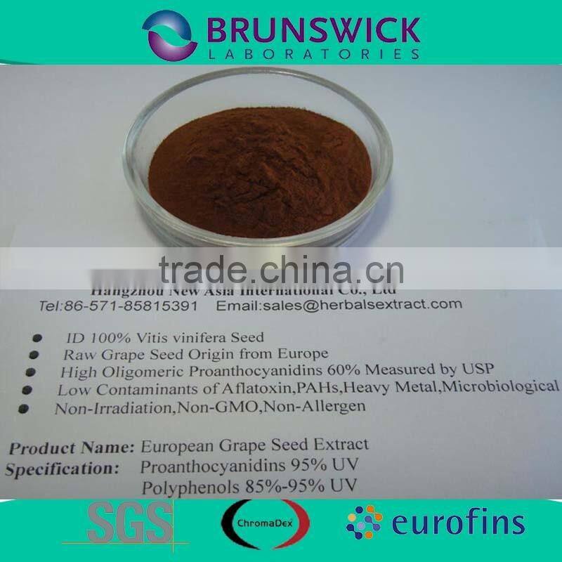 Pure Grape Seed P.E.,ID 100% Vitis vinifera,OPCs 95% USP Grade,Low Pesticides,Aflatoxin,PAHs