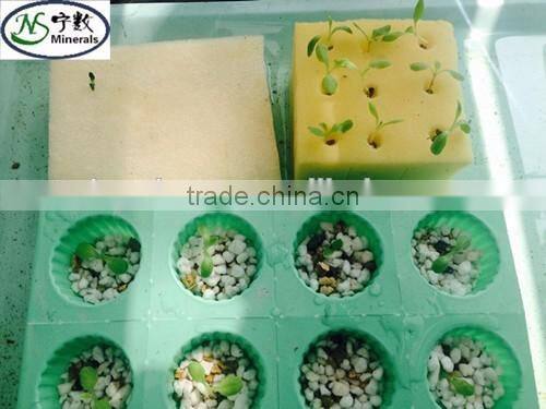 Organic Soil Expanded Perlite Growing Medium Gardening Grade