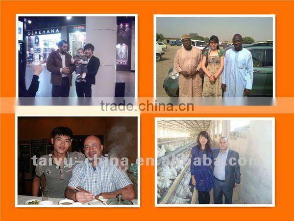 TAIYU farm poultry equipment for sale ( Professional Manufacturers Easy installation, maintenance and Operation )