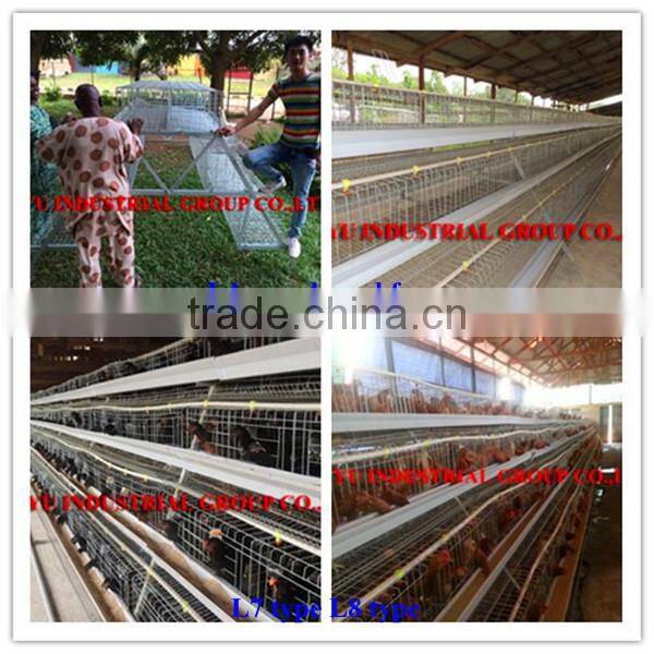 TAIYU Farm Machines for Laying Hens