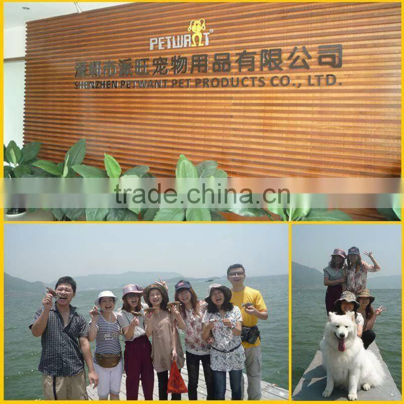 food feeder/automatic food feeder/portion control digital automatic pet feeders