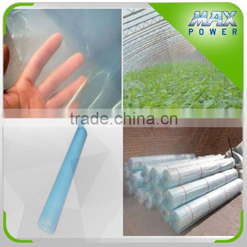 New Arrival Tunnel Greenhouse Covering Material LDPE Film