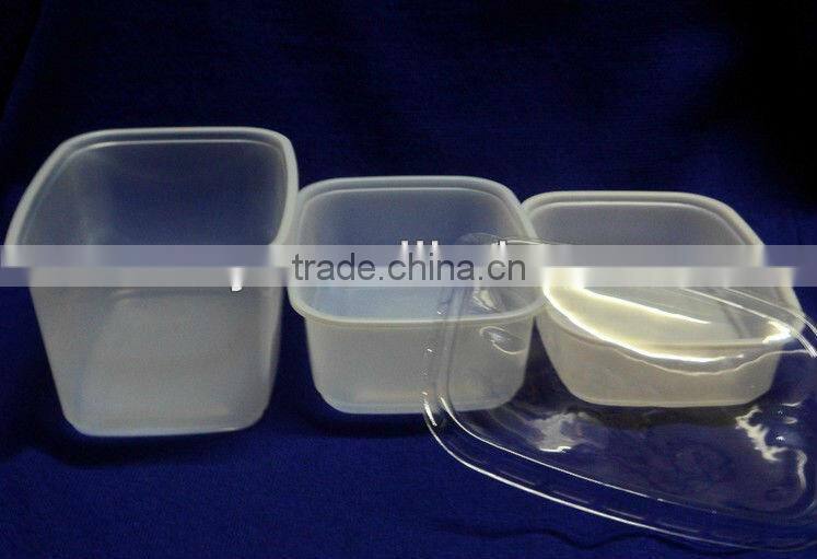 Disposable fast food container/PS fast food container