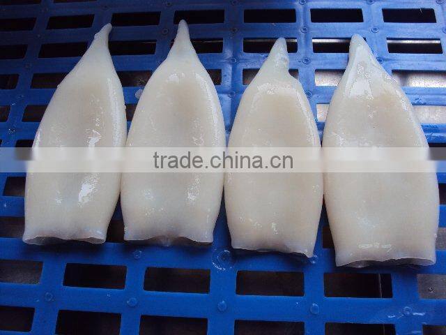 Frozen Seafood Squid Tube