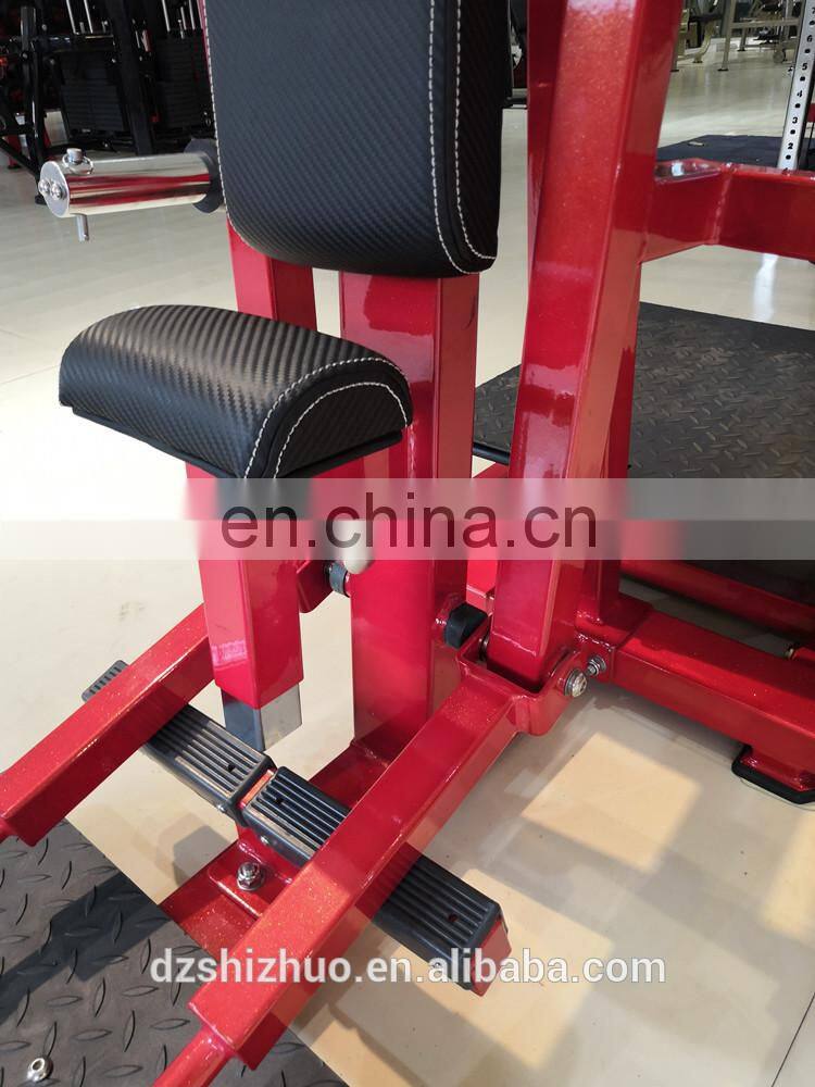 Dezhou Shizhuo 2019 new arrival high quality Lateral Raise machine commercial gym fitness equipment RHS53