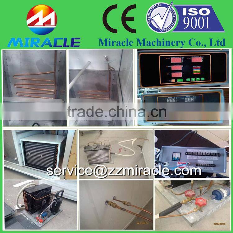 CE Certification Full automatic hydroponic fodder machine for cattle horse sheep green fresh grass feed