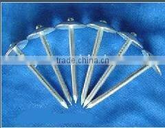 roofing nail with big unbrella head facory