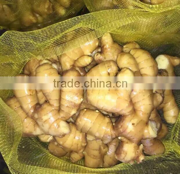 Fresh Ginger supplier