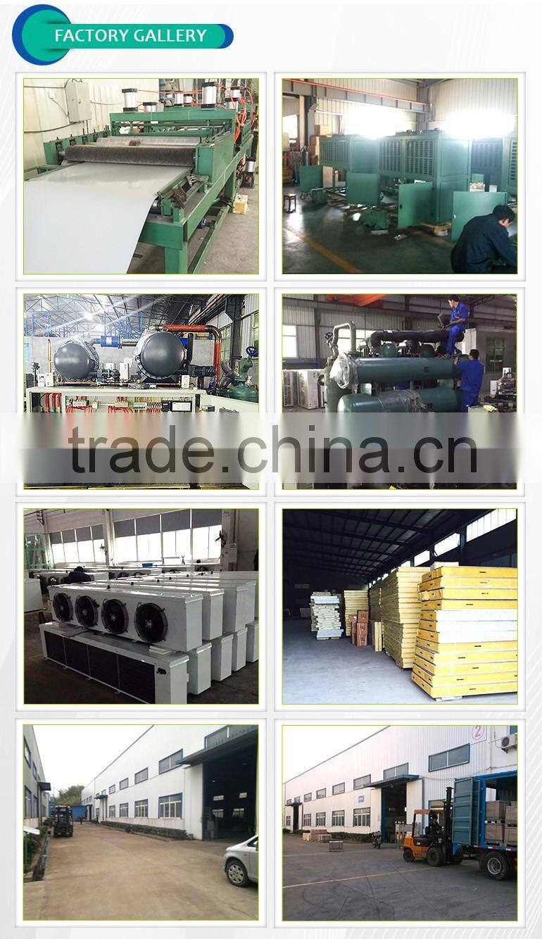 China manufacture fast Delivery pu sandwich panel cold rooms